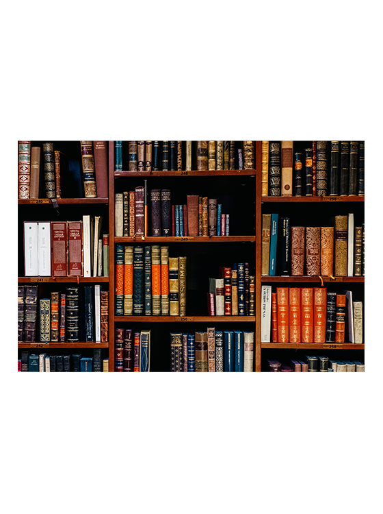 Picture of Big bookshelves for office wall